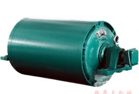 TDY75電動(dòng)滾筒