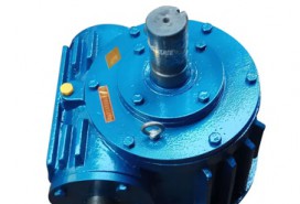 CWS圓弧齒蝸輪蝸桿減速機(jī)